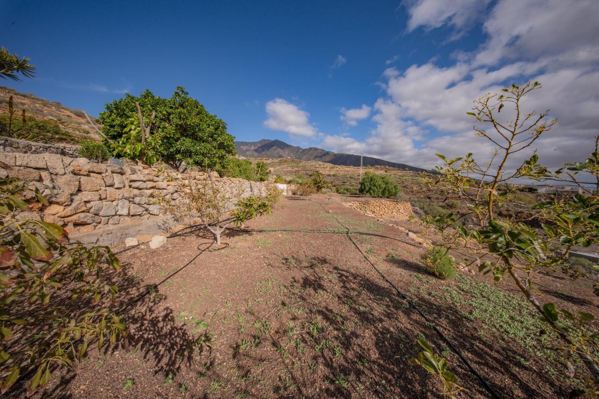 Casa Rural Buda Terra Santa Cruz de Tenerife Luaran gambar